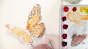 Realistic watercolor butterfly