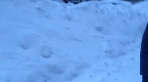 Чоловка соломенка киев 23 марта 2013