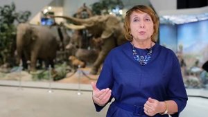 Дарвиновский музей: от А. Ф. Котса до наших дней