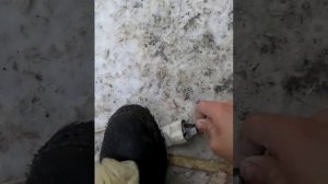 Плоскошлифовальная и ленточно шлифовальная машинки