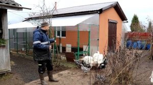 Строим современный курятник ч.40 Подготовка вольеров в зиму.