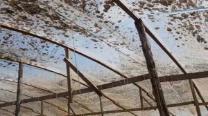 Китайские теплицы. Второй оборот. Огурцы и Помидоры. 17 августа