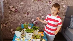 Хищные растения, вся коллекция