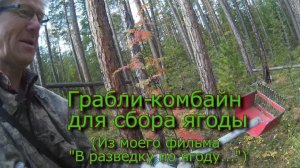 Грабли-комбайн для сбора ягоды (Эксперимент)