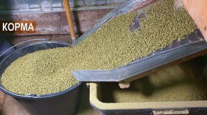 Бункер для комбикорма на 600 КГ. Просеивание кормов. В гостях у Дяди Саши