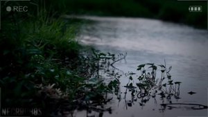 Страшные истории на ночь - ДЕТСКИЙ ЛАГЕРЬ В ЛИТВЕ - Ужасы Мистика Криповые Страшилки Scary Stories
