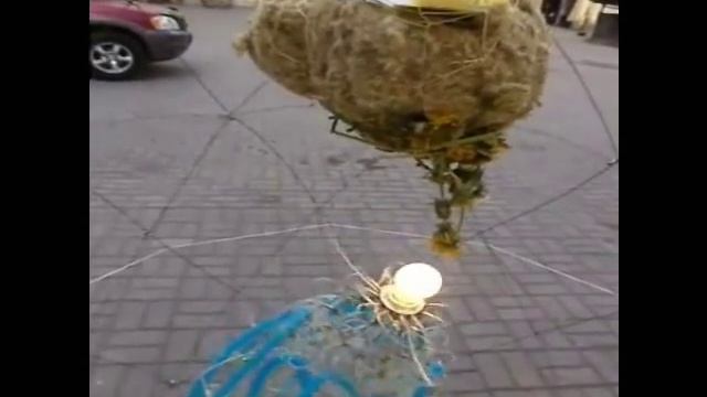 Репульсин на выставке город-сад. Зеленый урбанизм.