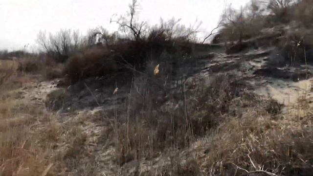 Михайловское озеро 2019 смотреть онлайн