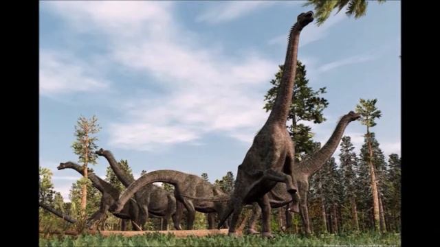 Динозавры и древние животные Первая часть | Любопытные вопросы смотреть онлайн