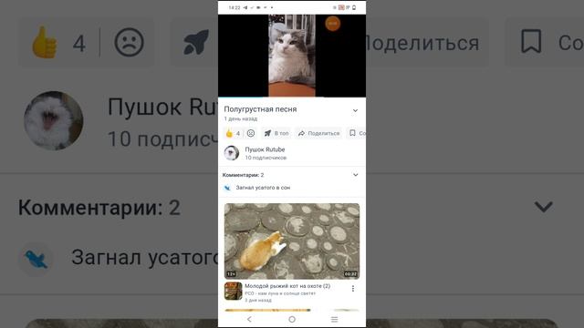 Сначала зевнул а потом чехнул