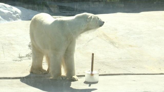 Новости (Утренний выпуск) 29.06.2023