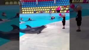 Мальчик и дельфин ?