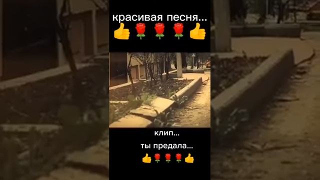 красивая песня ты предала ..#разбитоесердце #грустно #рекомендации #одинокий #одиночество #одинокий