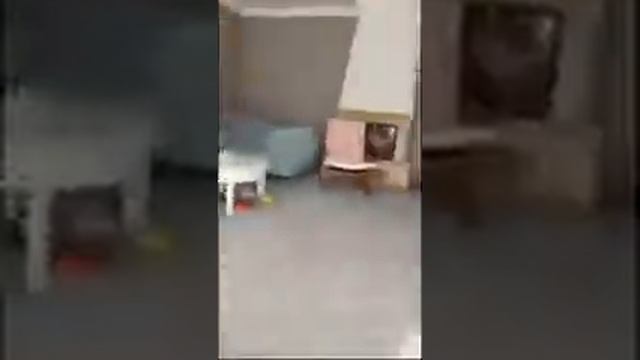 Качающееся Кресло Из Икеи смотреть онлайн