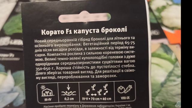 Огляд насіння капусти.Буду сіяти  раннюцвітнуброкколіпізню капусту і червоноголову.