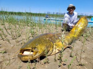 Рыболовная база Завидово в Казахстане