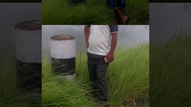 Sz смотреть онлайн