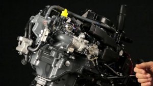 SUZUKI DF20A обзорный ролик