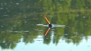 КАРАСИ ЛАПТИ В СТАРОМ ДЕРЕВЕНСКОМ ОЗЕРЕ.ЗАКИНУЛ СЕКРЕТНУЮ КАШУ И ВОТ... ВОДА БУРЛИТ ОТ РЫБЫ.