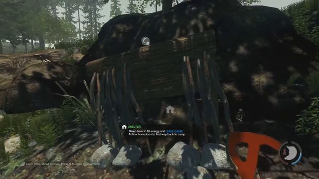 The Forest Обзор Серия 1 смотреть онлайн