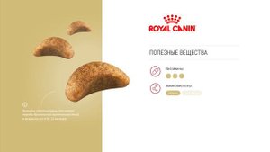 Корм Роял Канин для британских короткошерстных котят