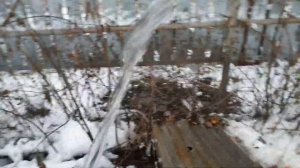 Самоизлив из Скважины от затопления Спасла Река!!
