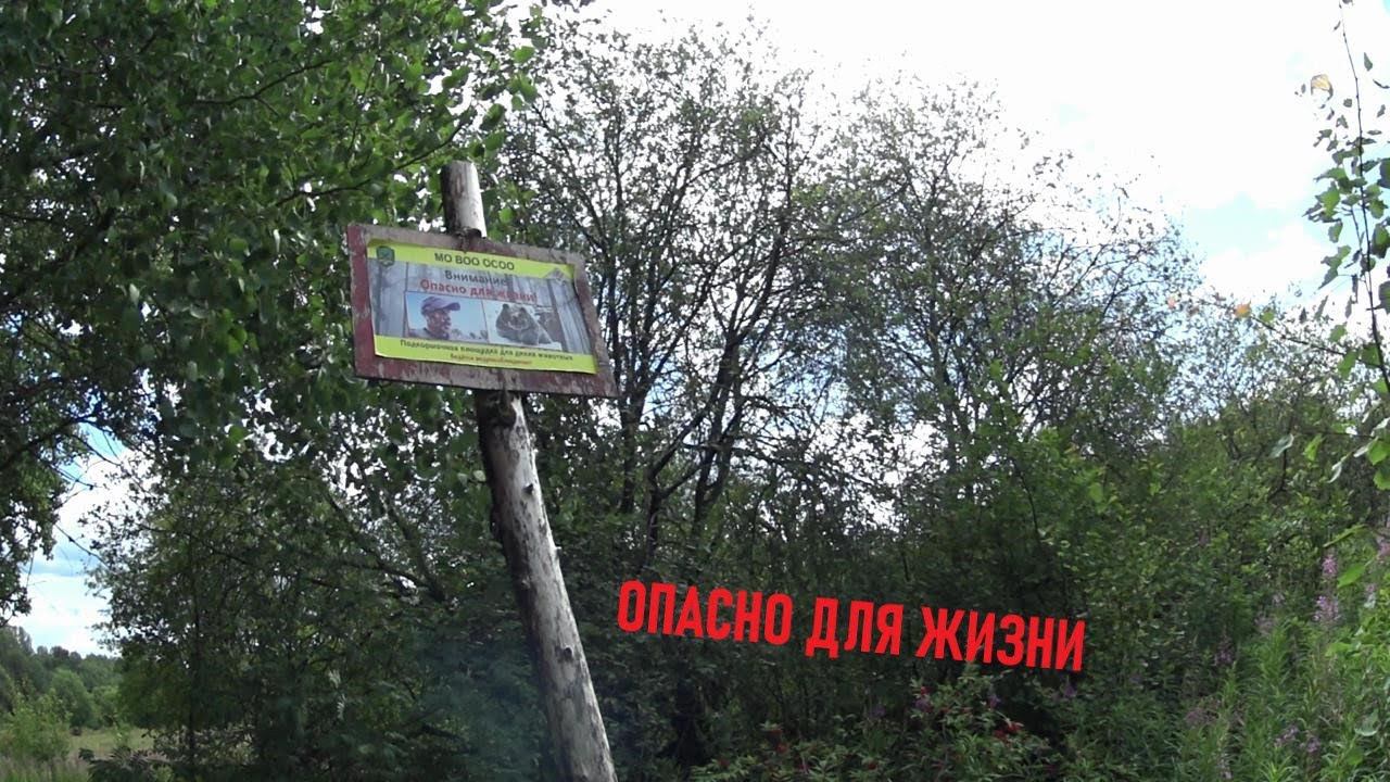 ОПАСНО ДЛЯ ЖИЗНИ | НАМ ПОВЕЗЛО | НАХОДКИ ЗА 2 ЧАСА КОПА | @poiskovik_md
