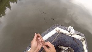 Рыбалка!Перетяга.Судак на живца.Бонус!