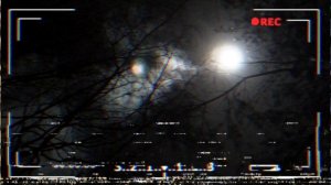 Good Boy | Хороший Мальчик | Ужасы Тревора Хендерсона | Unnerving images