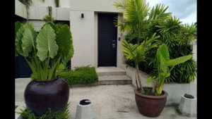 The Pavilions Phuket