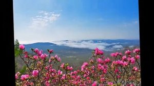 ГРАФИНЯ де МОНСОРО.