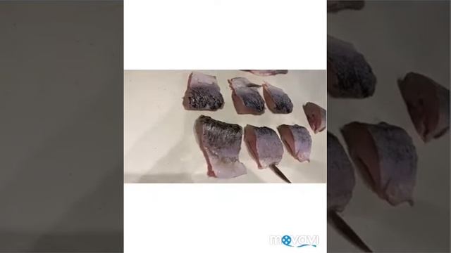 РЫБАЛКА НА ПРИПЯТИ, ЖАРИМ ЩУКУ. смотреть онлайн