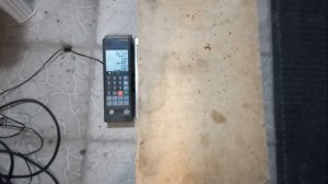 Сколько весит рой пчёл