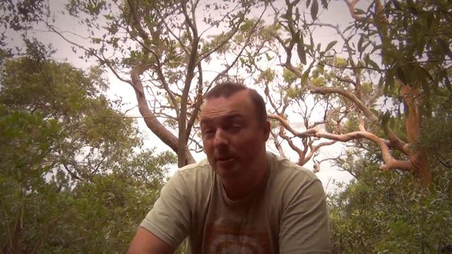 Иммиграция в Австралию - Почему я переехал в Австралию