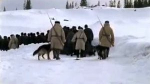 Мы шли этапом.Стихи Е.Л. Владимировой - исп. Владимир Черняков
