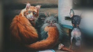 "Аудио  дневник Домового 4 часть ,,