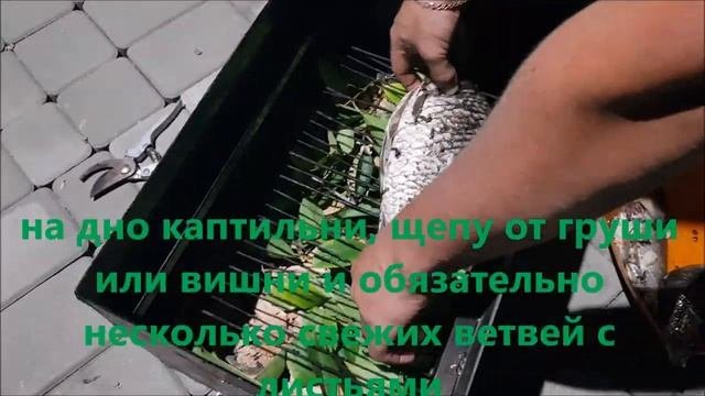 копчение карасей