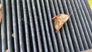 Чистка кондиционера в авто Renault Laguna 2 своими руками