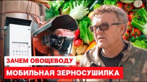 Зачем овощеводу зерносушилка Fratelli Pedrotti Super 200. Честный отзыв.