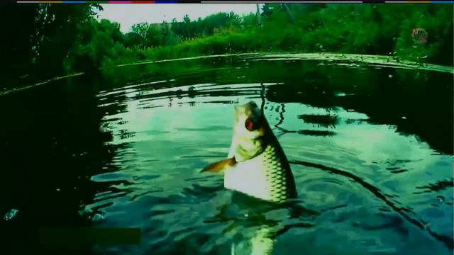 Рыбалка на речке смотреть онлайн