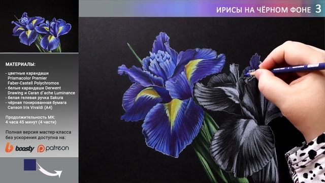 Как нарисовать цветы на чёрной бумаге цветными карандашами ✎ Рисуем ирисы ? Таймлапс
