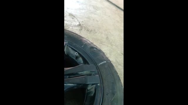 Франция Хорватия фанатики на поле