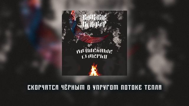 Равнение на север - Волшебные сумерки (Official Lyric Video) смотреть онлайн