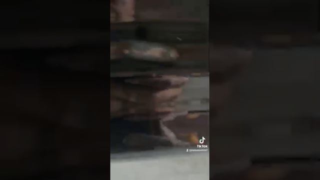 всё будет офигенно смотреть онлайн