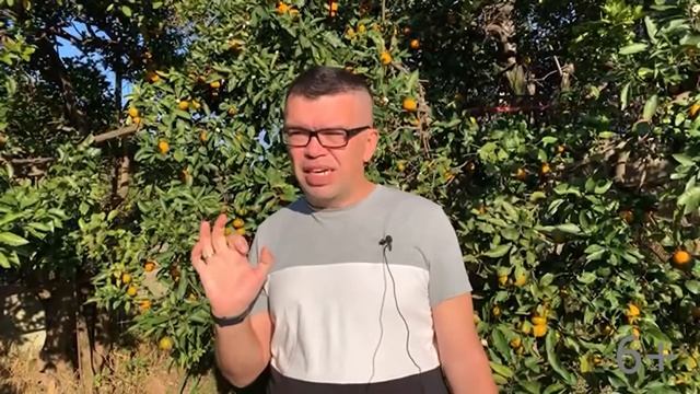 Идеи для названия семейного канала | Как назвать канал для семейного просмотра на YouTube смотреть онлайн