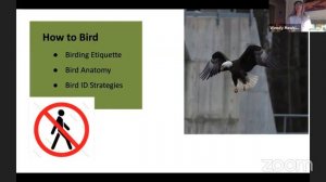 Birding 101 with Forsyth Audubon