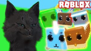 SHINY PETS РАЗВОДИМ ПИТОМЦЕВ РОБЛОКС С ГОВОРЯЩИМ СУПЕР КОТОМ ( ИГРА для ДЕТЕЙ ) Roblox
