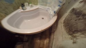 Душевая в деревянном доме