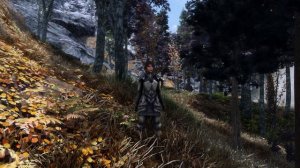 Modded Skyrim SE 2023 - Riften IMMERSION - Ultra Forest Falling Leaves and Mists