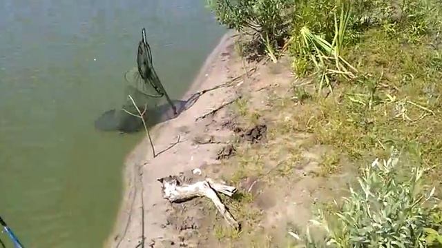 Рыбалка в Светлогорске 2015 смотреть онлайн